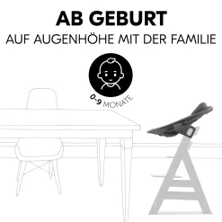 hauck Alpha Bouncer Premium Dark Grey* Hochstuhl Zubehör|Wippen