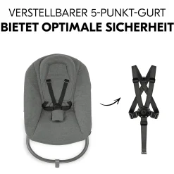 hauck Alpha Bouncer Premium Dark Grey* Hochstuhl Zubehör|Wippen