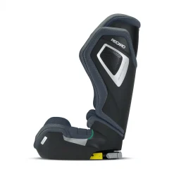 RECARO Axion 1 Gallant Grey*Kinder Kindersitze 9-36 Kg, Gruppe 1/2/3