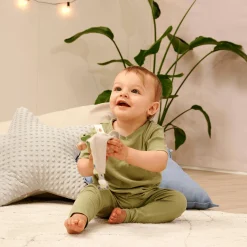 Eichhorn Baby HIPP Greifling mit Schmusetuch* Schmusetücher|Rasseln & Greiflinge