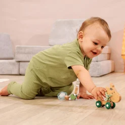 Eichhorn Baby HIPP Schiebe-Esel*Kinder Holzspielzeug