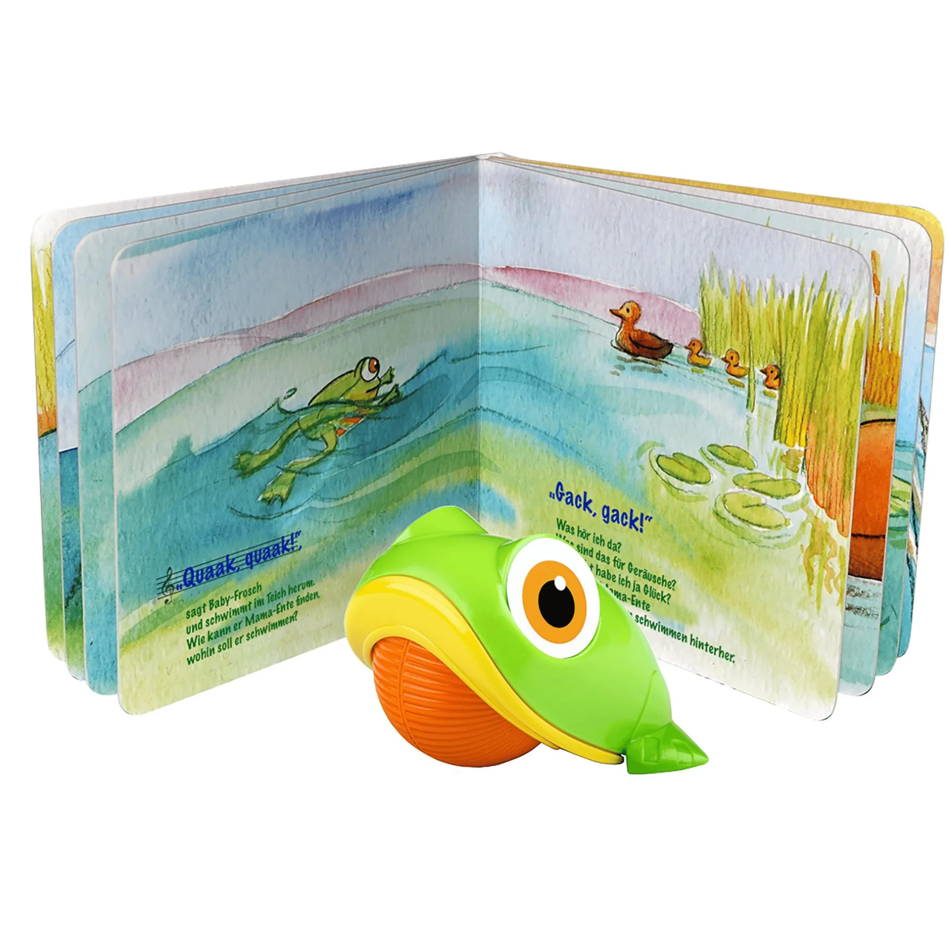 Voggenreiter Baby-Frosch und seine Freunde*Kinder Kinderbücher