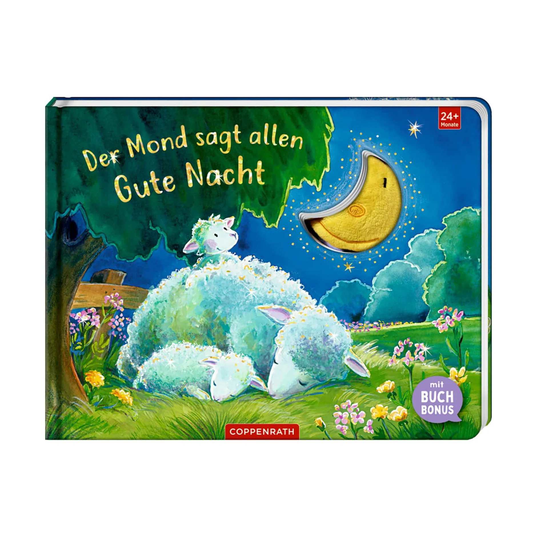 COPPENRATH Der Mond sagt allen Gute Nacht*Kinder Kinderbücher
