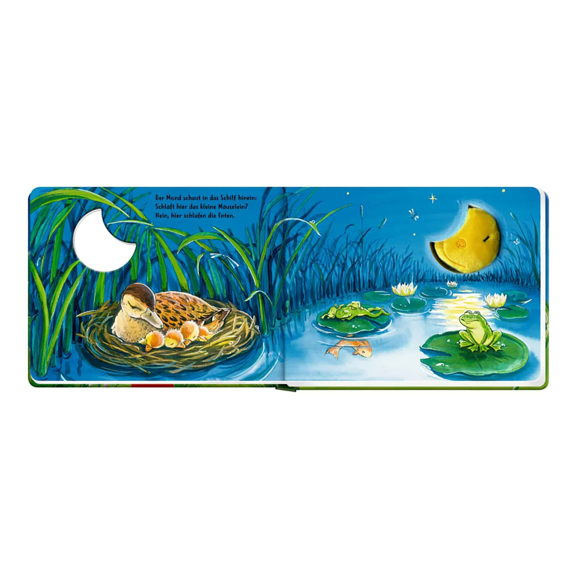 COPPENRATH Der Mond sagt allen Gute Nacht*Kinder Kinderbücher