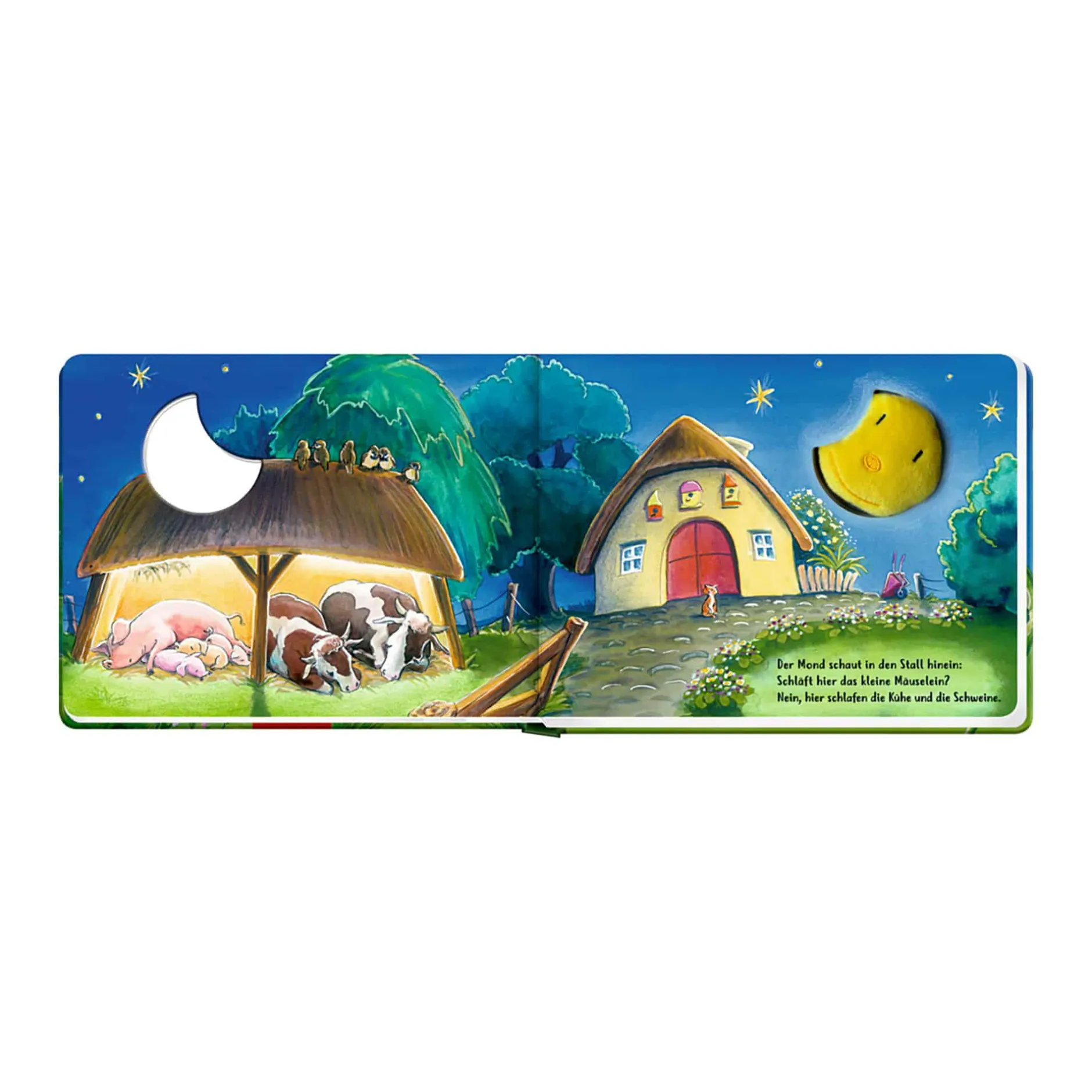 COPPENRATH Der Mond sagt allen Gute Nacht*Kinder Kinderbücher