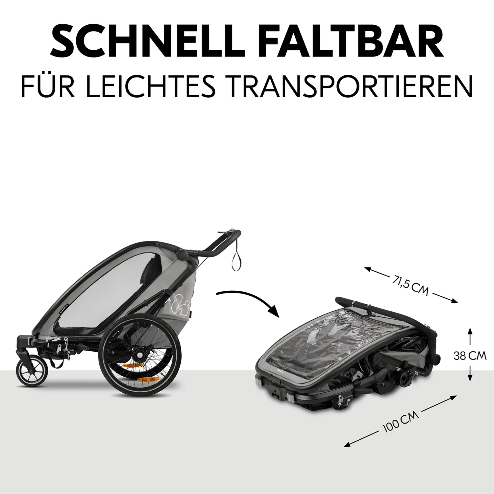 hauck Fahrradanhänger Bike n Walk Duo Light Grey* Fahrradanhänger