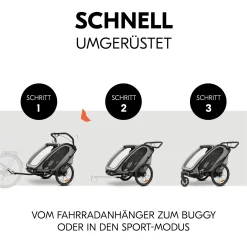 hauck Fahrradanhänger Bike n Walk Duo Light Grey* Fahrradanhänger
