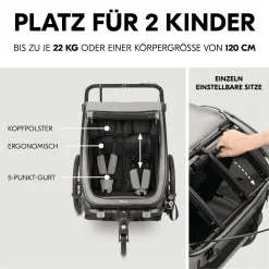 hauck Fahrradanhänger Bike n Walk Duo Light Grey* Fahrradanhänger