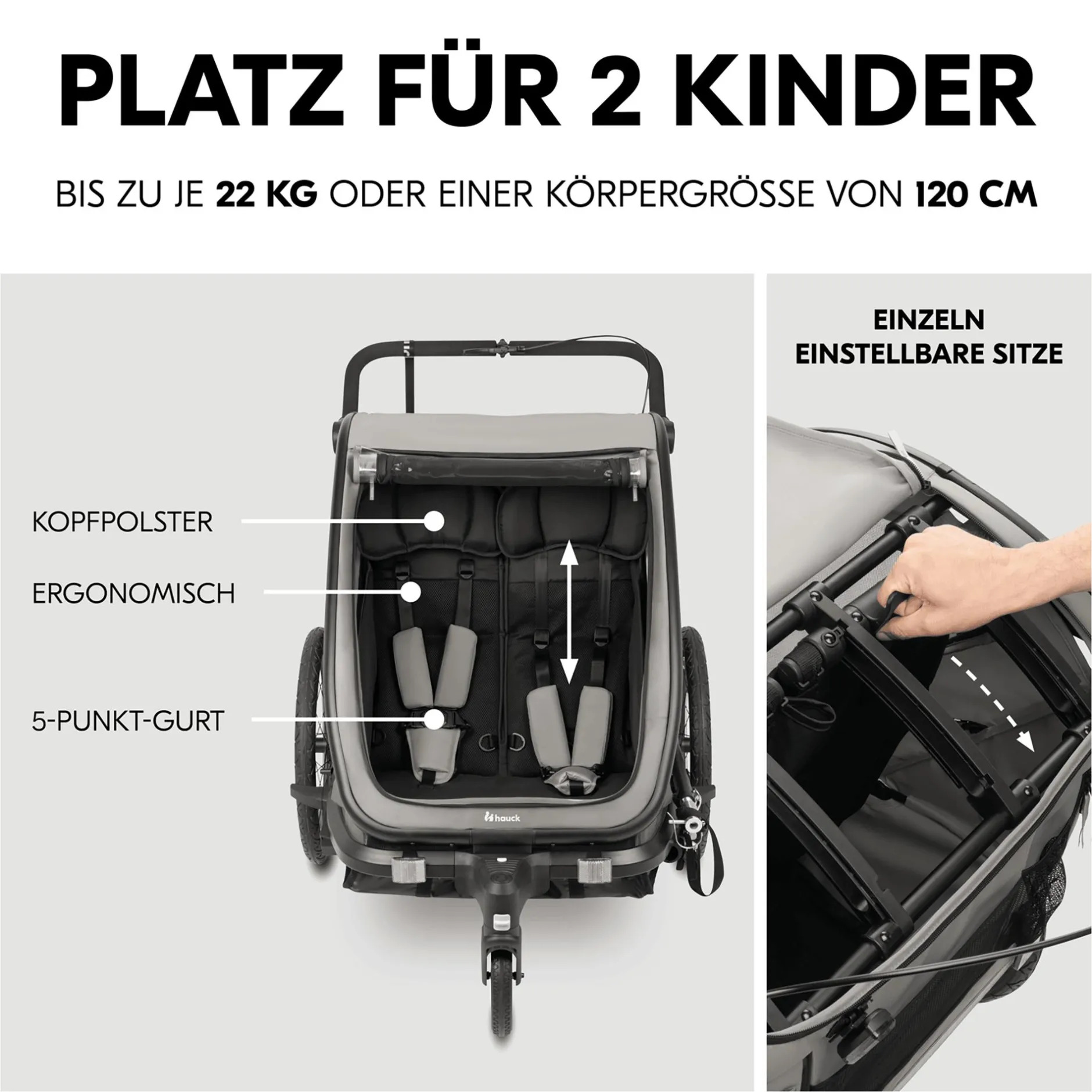 hauck Fahrradanhänger Bike n Walk Duo Light Grey* Fahrradanhänger