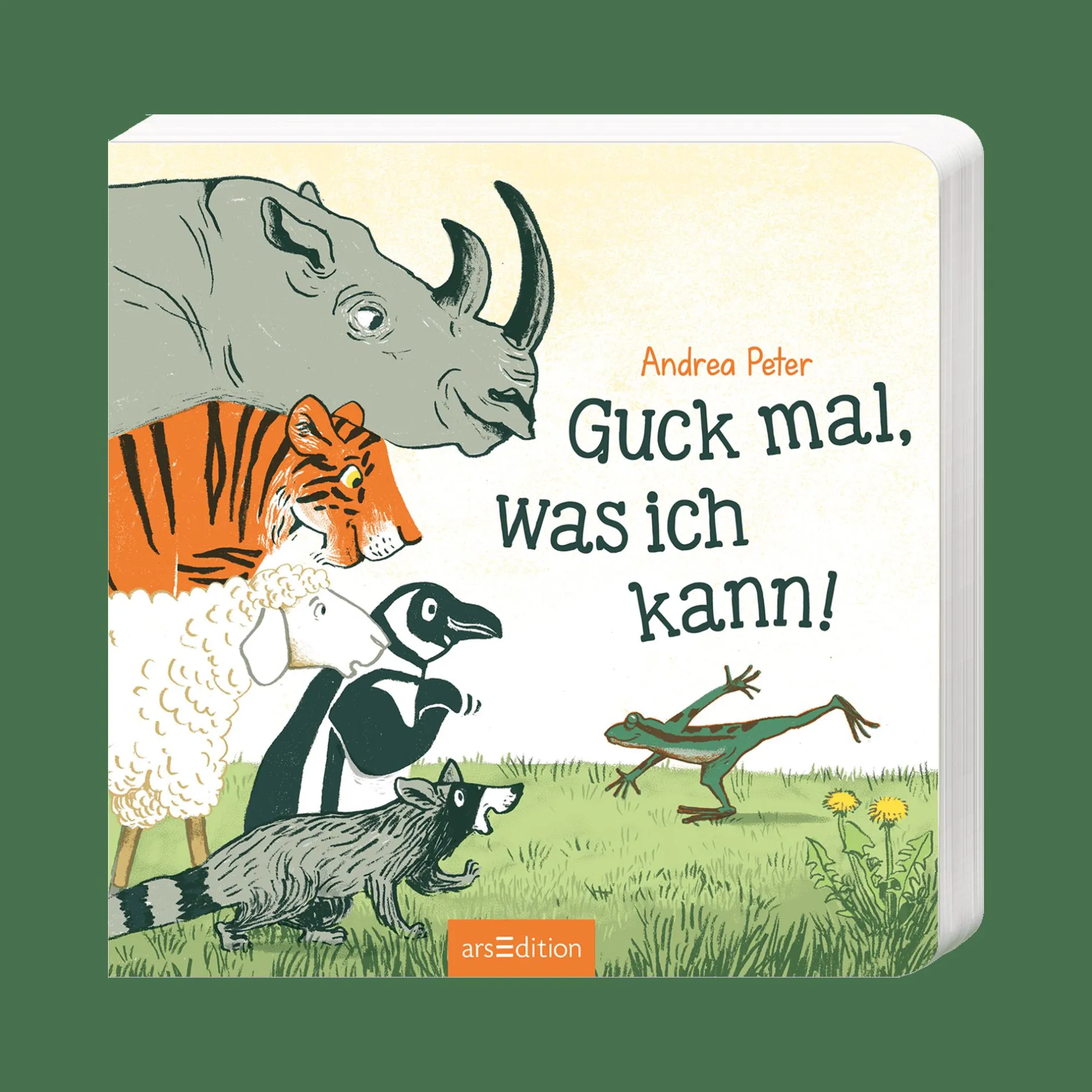 arsEdition Guck mal, was ich kann*Kinder Kinderbücher