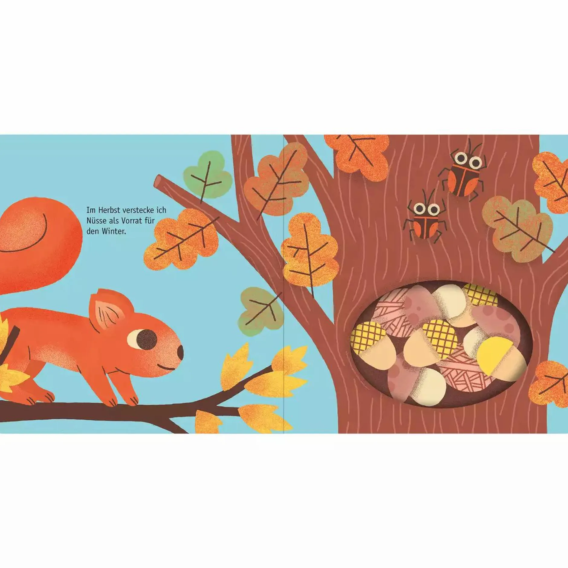 arsEdition Hallo Eichhörnchen*Kinder Kinderbücher