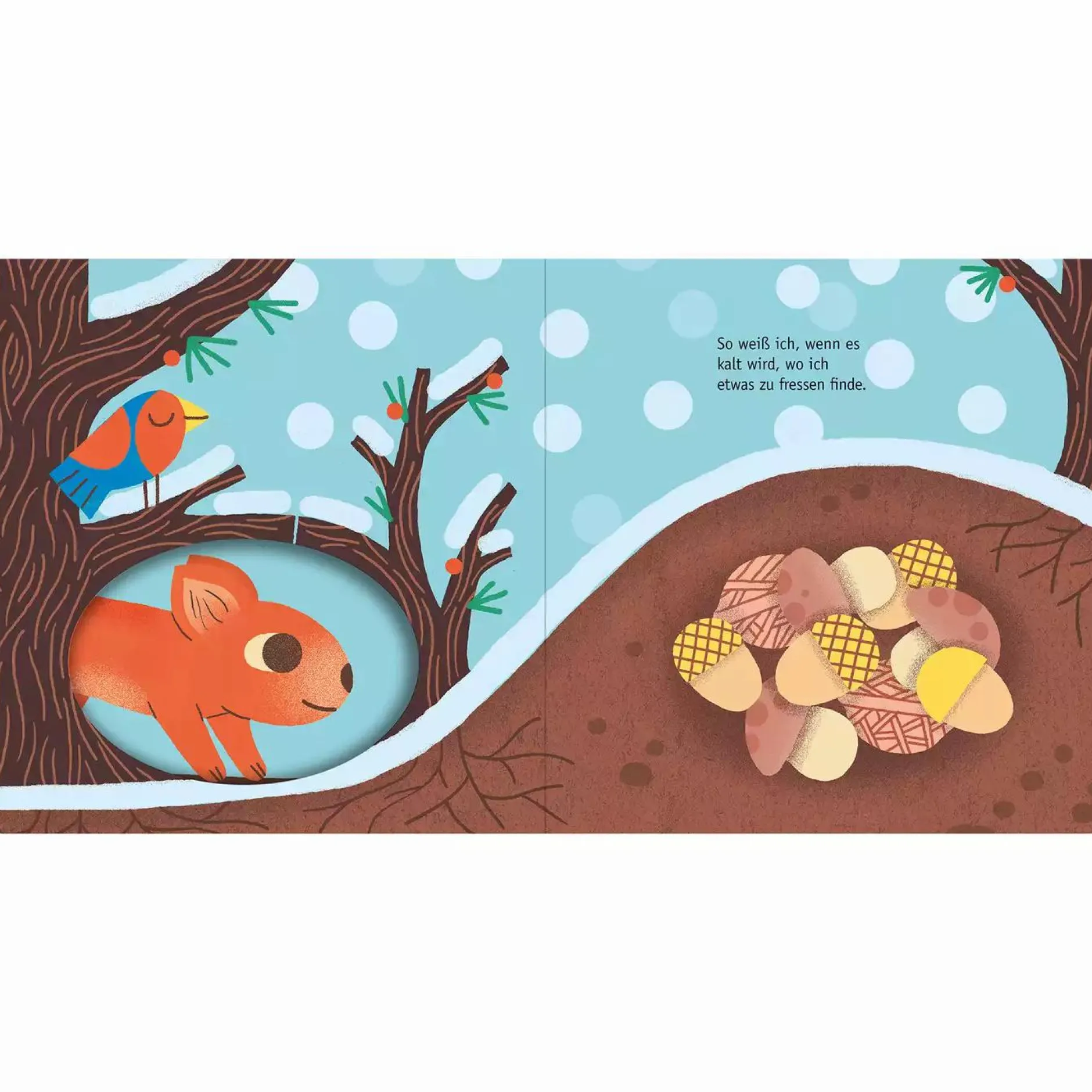 arsEdition Hallo Eichhörnchen*Kinder Kinderbücher