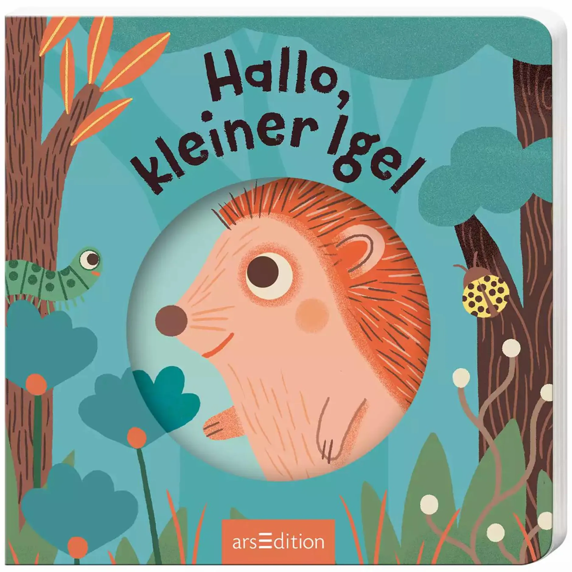 arsEdition Hallo, kleiner Igel*Kinder Kinderbücher