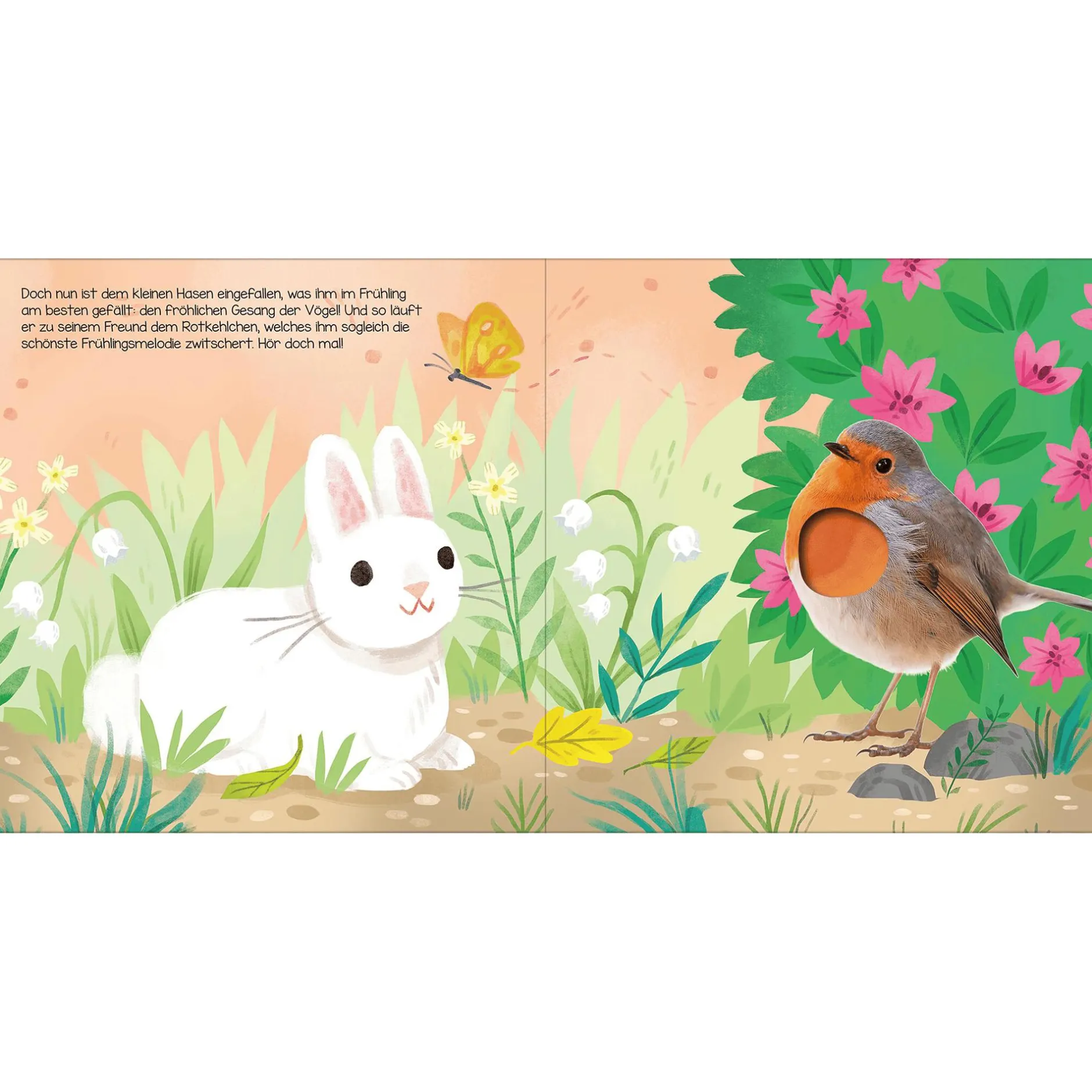 CARLSEN Hör mal, kleiner Hase*Kinder Kinderbücher