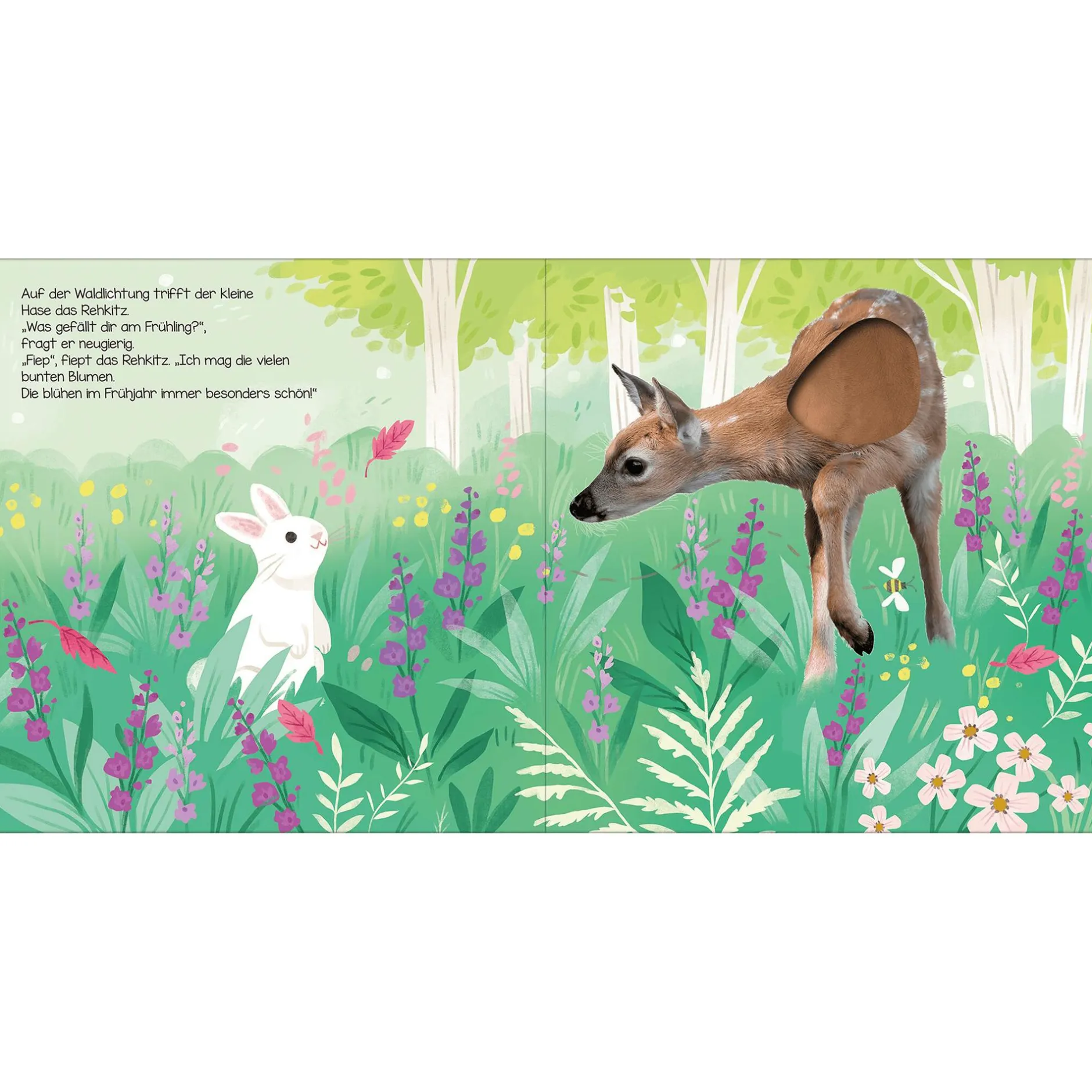 CARLSEN Hör mal, kleiner Hase*Kinder Kinderbücher