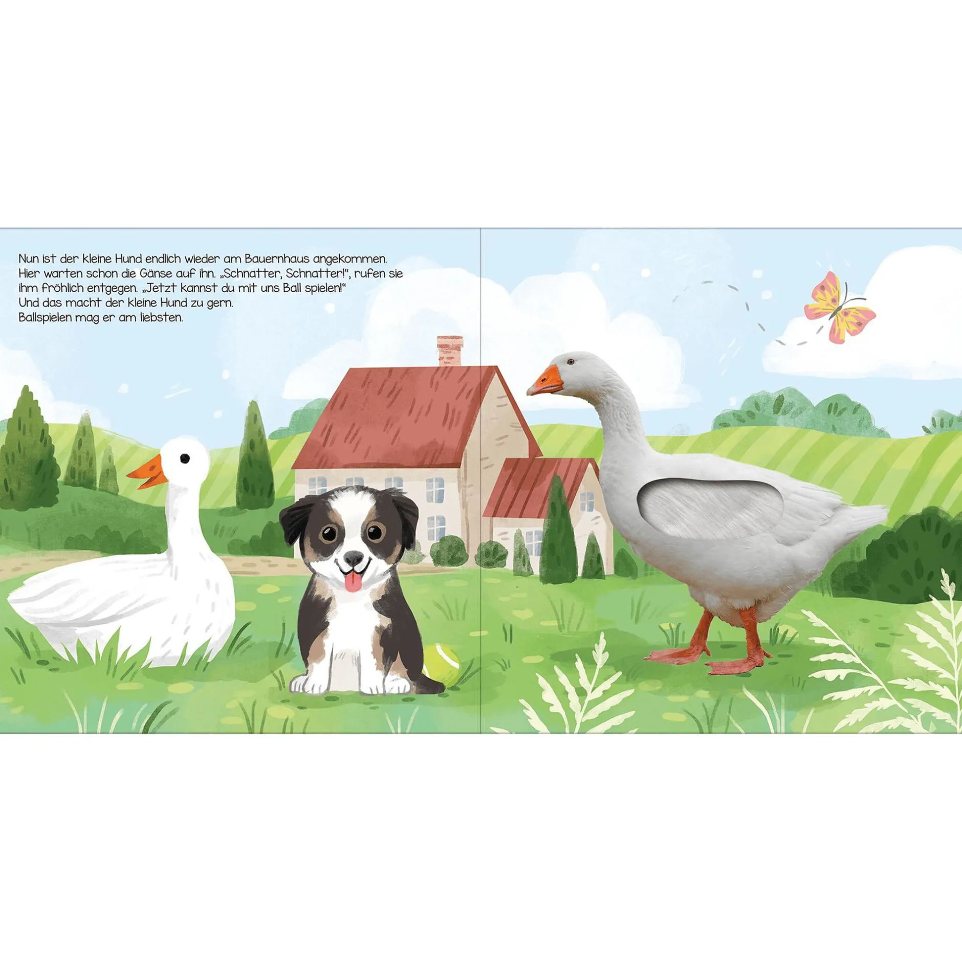 CARLSEN Hör mal, kleiner Hund*Kinder Kinderbücher
