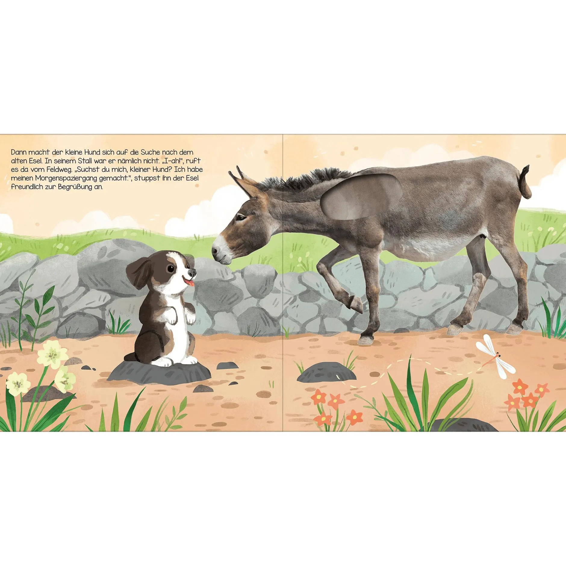 CARLSEN Hör mal, kleiner Hund*Kinder Kinderbücher