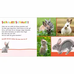 arsEdition Hör mal rein Streicheltiere*Kinder Kinderbücher