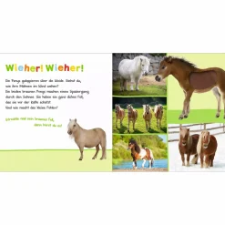 arsEdition Hör mal rein Streicheltiere*Kinder Kinderbücher