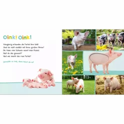 arsEdition Hör mal rein, wer kann das sein? Bauernhoftiere*Kinder Kinderbücher