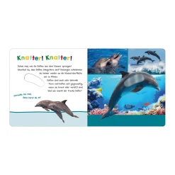 arsEdition Hör mal rein, wer kann das sein? - Im Ozean*Kinder Kinderbücher