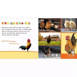 arsEdition Hör mal rein, wer kann das sein? Im Stall*Kinder Kinderbücher