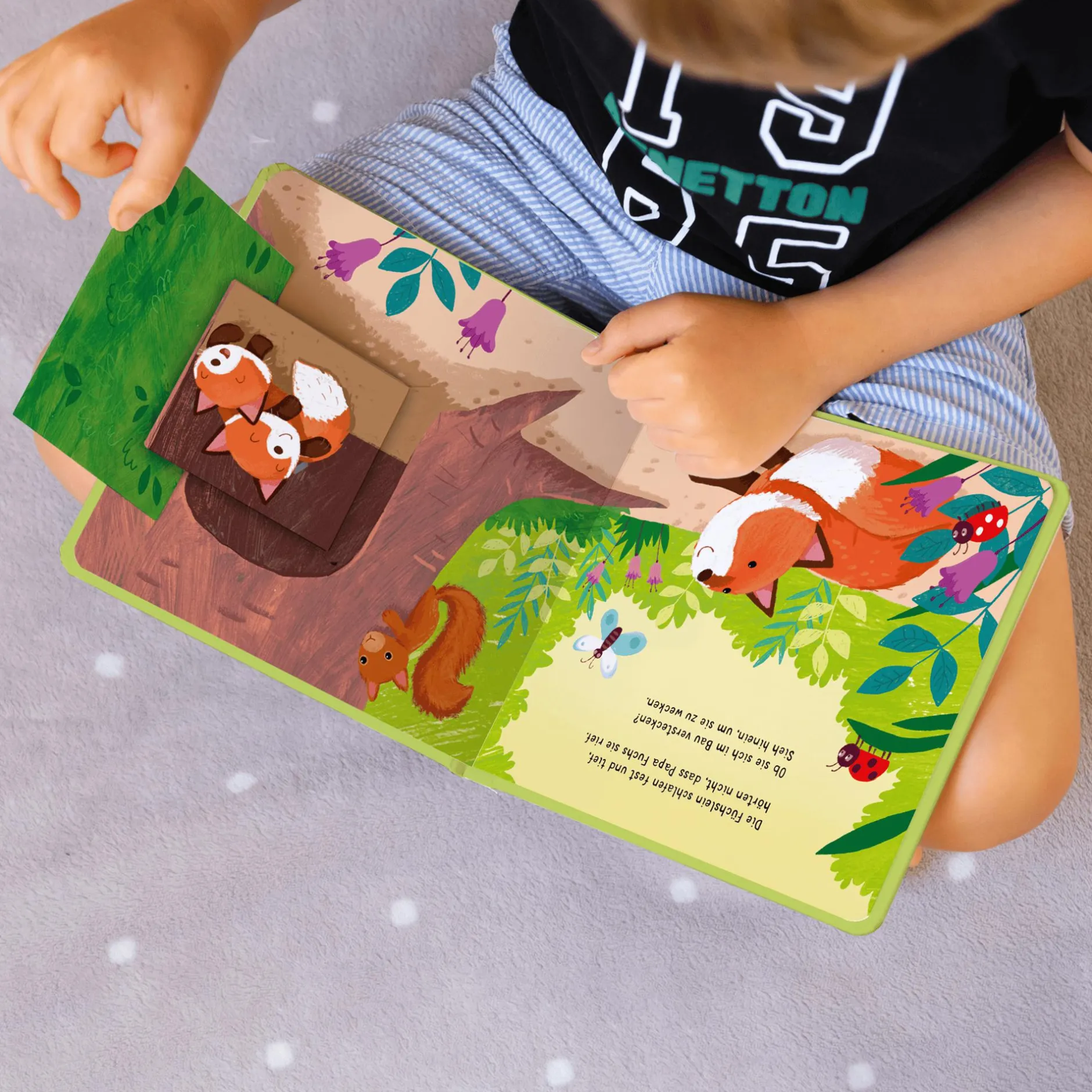 arsEdition Klapp auf! Wer versteckt sich im Wald?*Kinder Kinderbücher