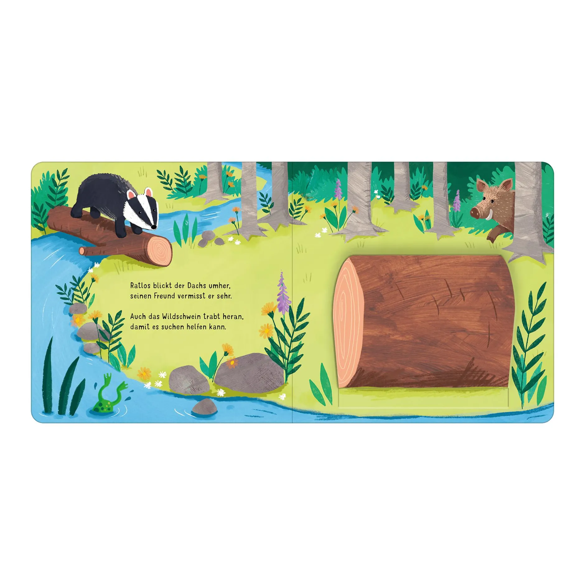 arsEdition Klapp auf! Wer versteckt sich im Wald?*Kinder Kinderbücher