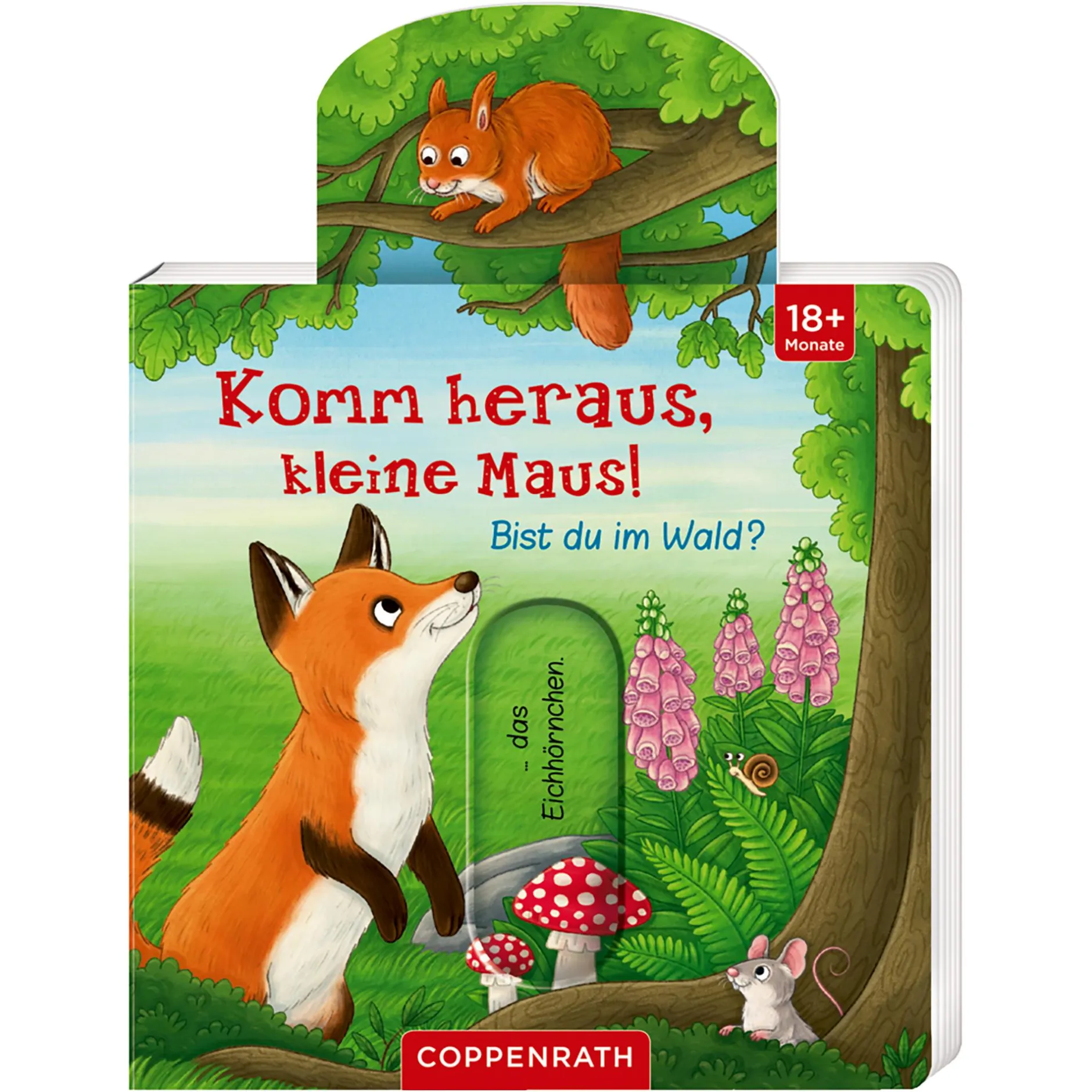 COPPENRATH Komm heraus, kleine Maus! Bist du im Wald?*Kinder Kinderbücher