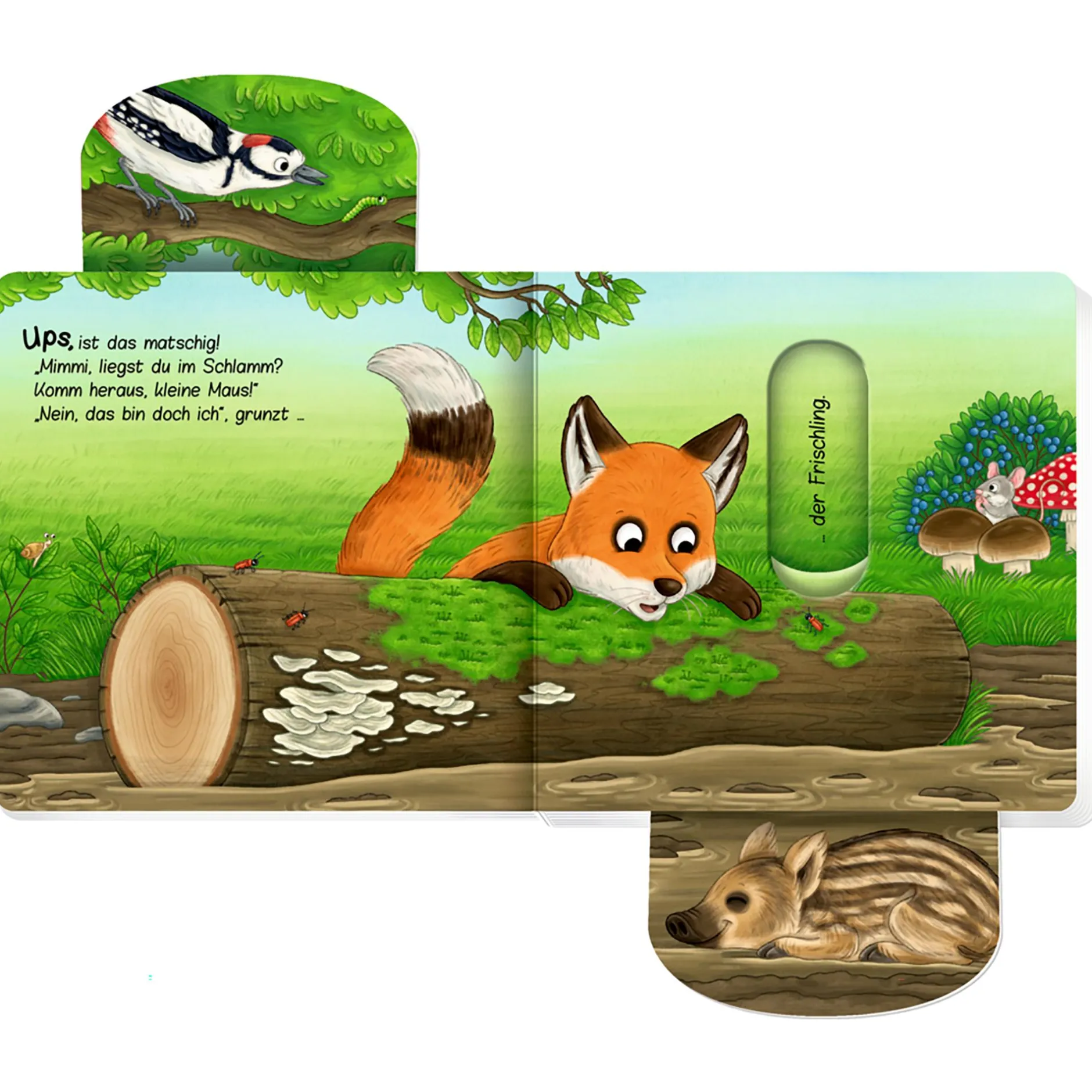 COPPENRATH Komm heraus, kleine Maus! Bist du im Wald?*Kinder Kinderbücher