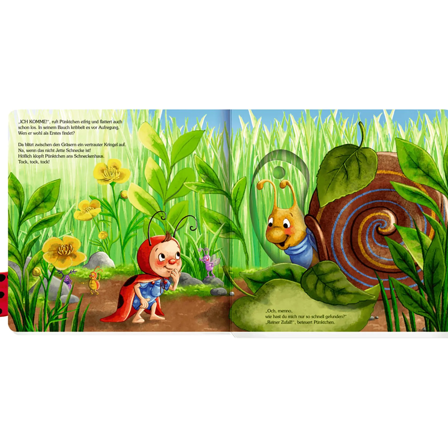 COPPENRATH Kuckuck, kleiner Käfer Pünktchen*Kinder Kinderbücher