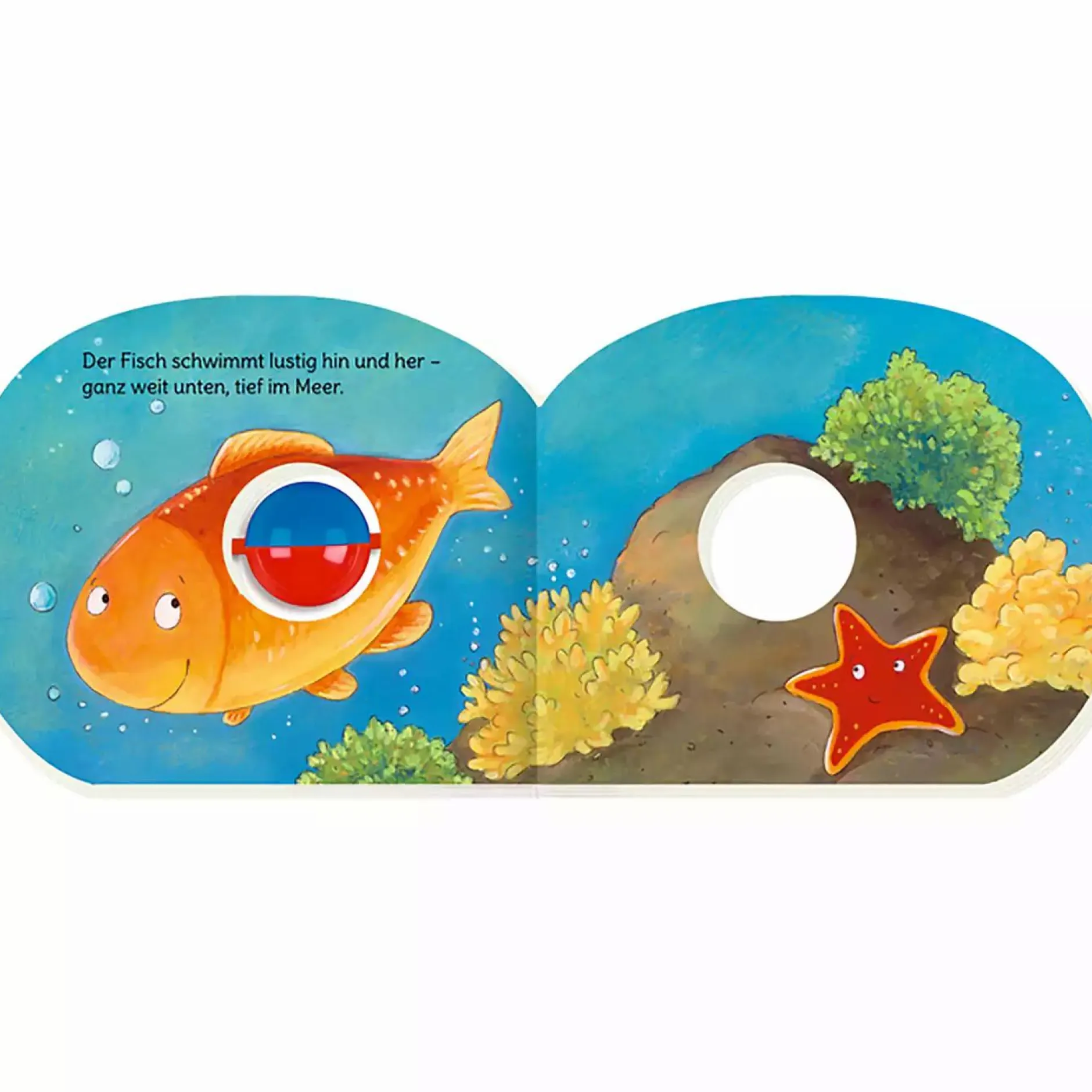 COPPENRATH Mein erstes Kugelbuch: Kleiner Kuller-Käfer*Kinder Kinderbücher