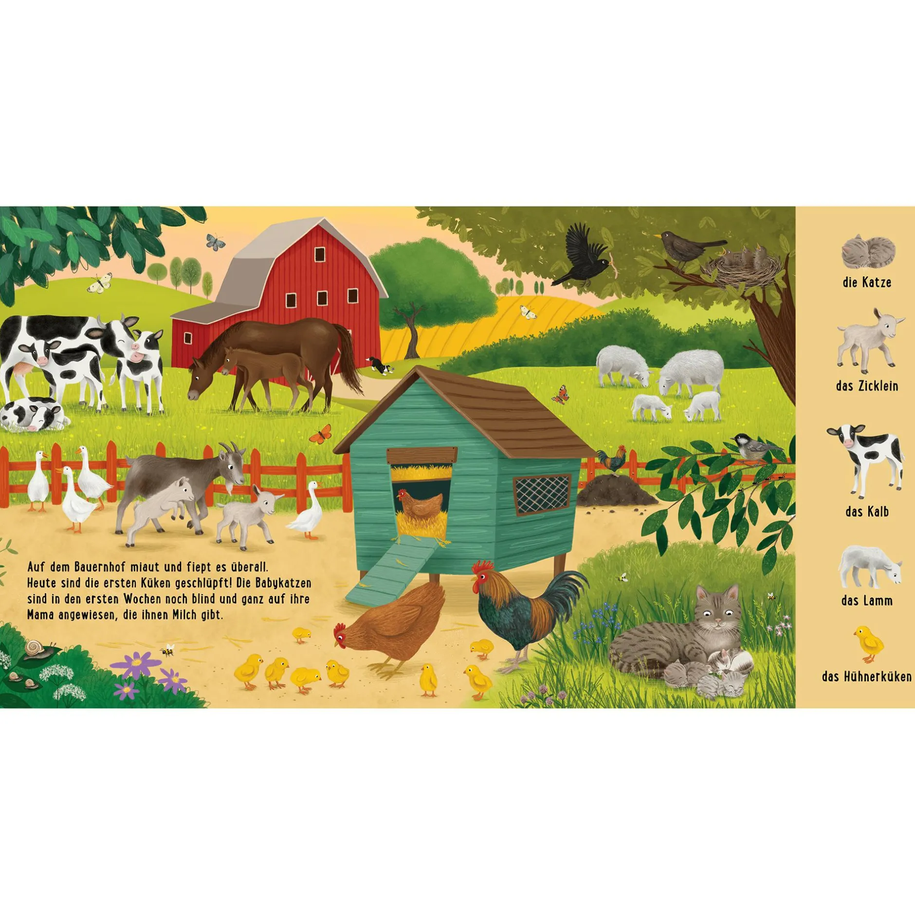 THIENEMANN Mein erstes Natur-Wimmelbuch: Bei den Tierkindern*Kinder Kinderbücher|Spielzeug Ab 2 Jahre