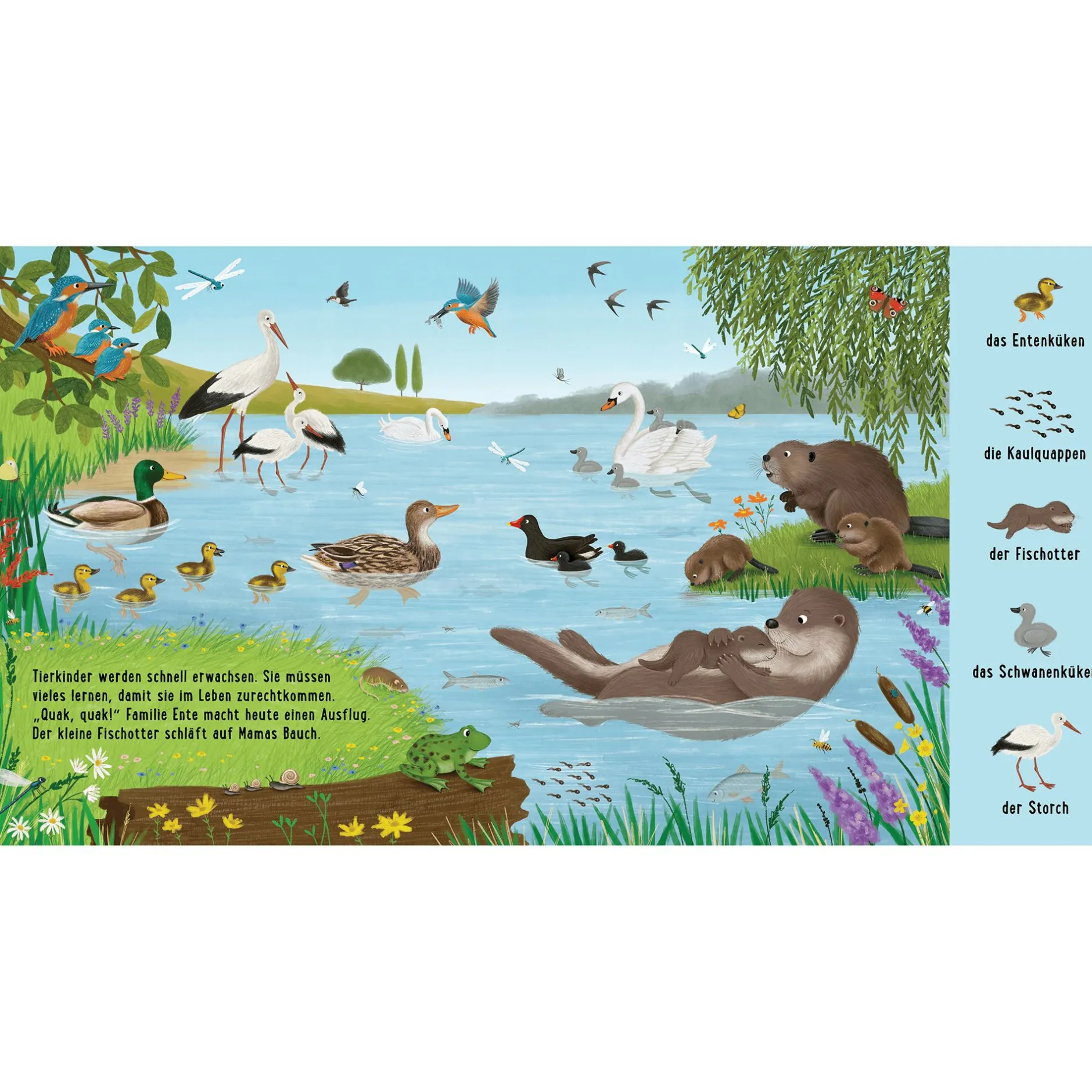 THIENEMANN Mein erstes Natur-Wimmelbuch: Bei den Tierkindern*Kinder Kinderbücher|Spielzeug Ab 2 Jahre