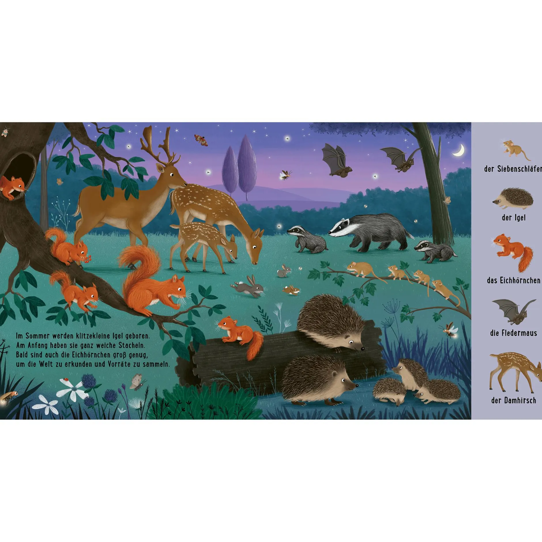 THIENEMANN Mein erstes Natur-Wimmelbuch: Bei den Tierkindern*Kinder Kinderbücher|Spielzeug Ab 2 Jahre