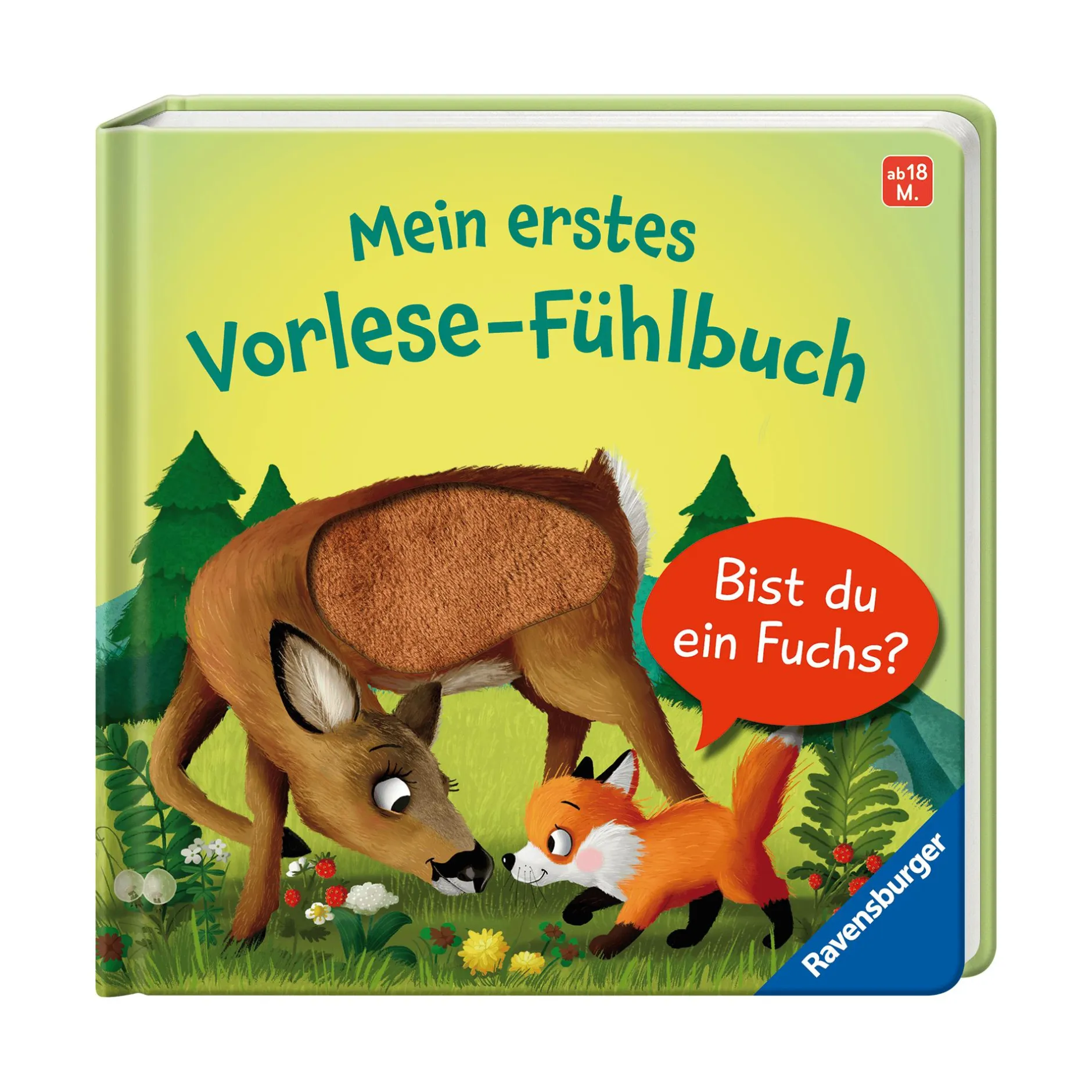 Ravensburger Mein erstes Vorlese-Fühlbuch: Bist du ein Fuchs?*Kinder Kinderbücher