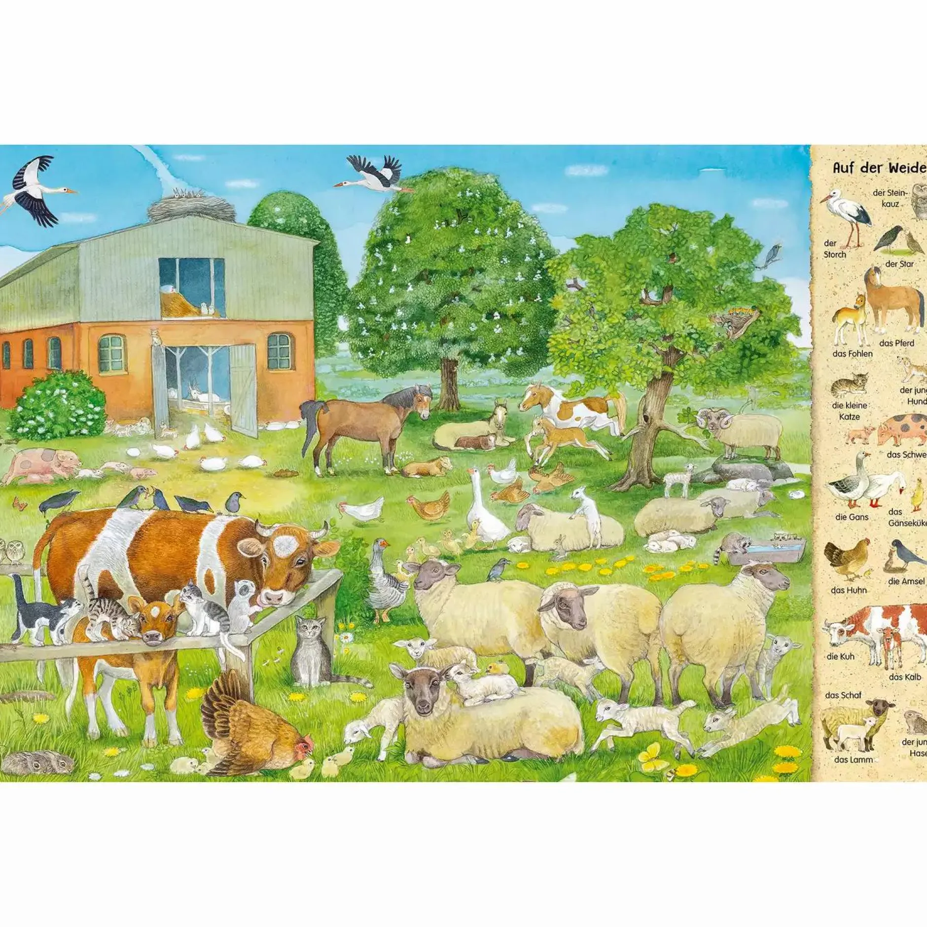 ess!inger Mein erstes Wimmelbuch: Tierkinder*Kinder Kinderbücher|Spielzeug Ab 3 Jahren