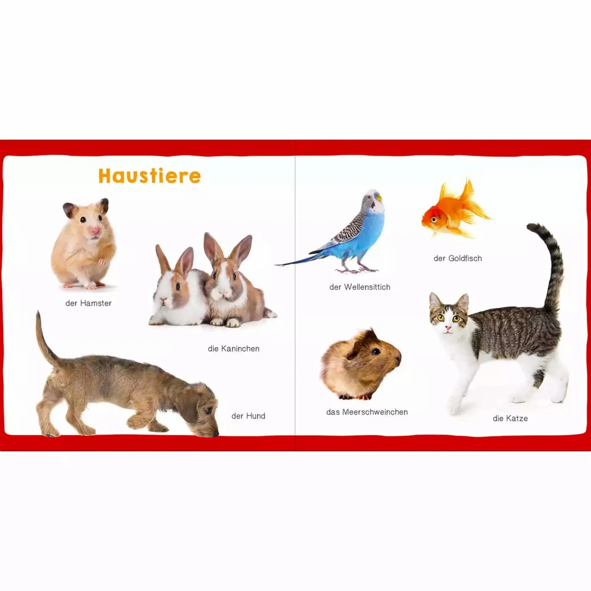 arsEdition Meine ersten 100 Tiere*Kinder Kinderbücher