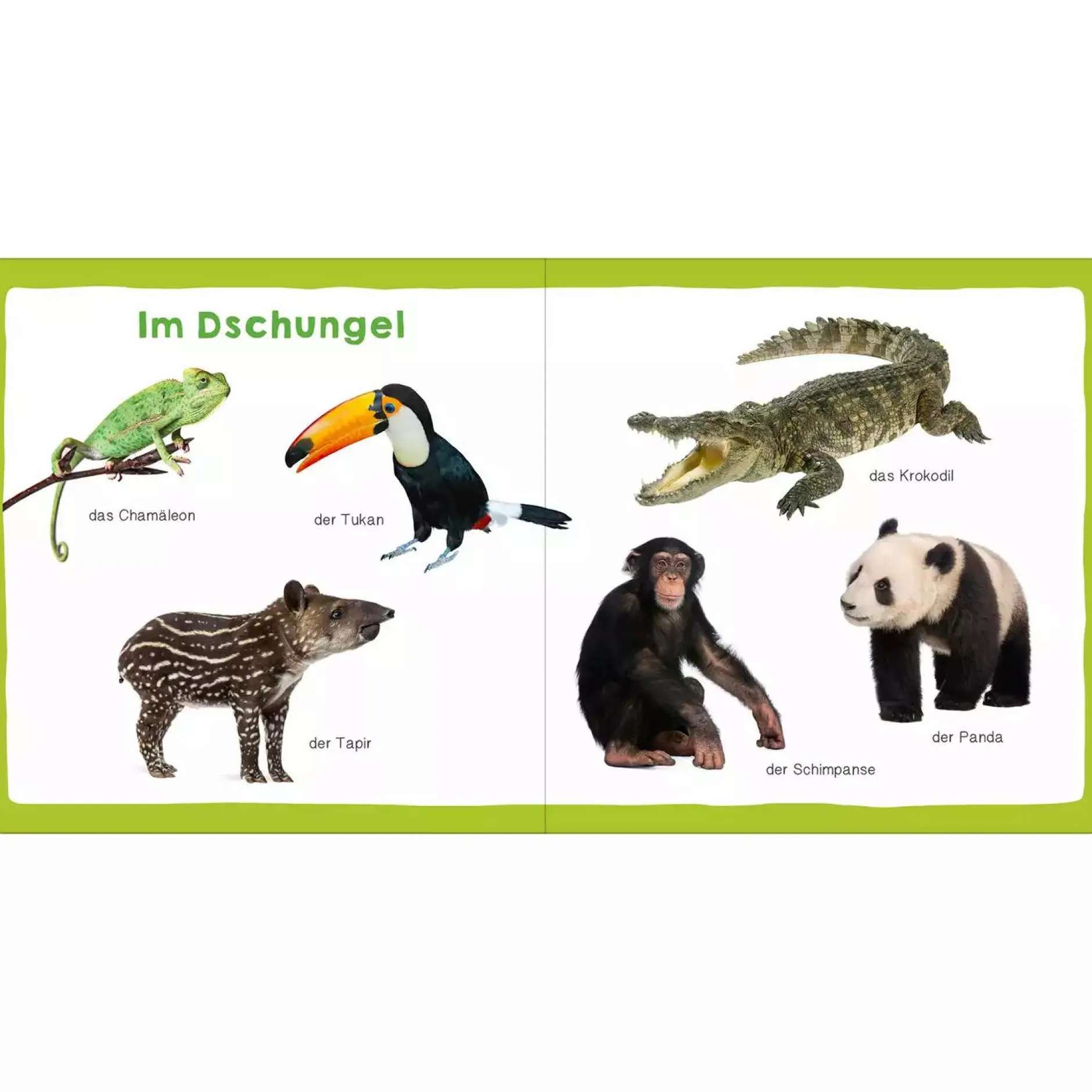 arsEdition Meine ersten 100 Tiere*Kinder Kinderbücher
