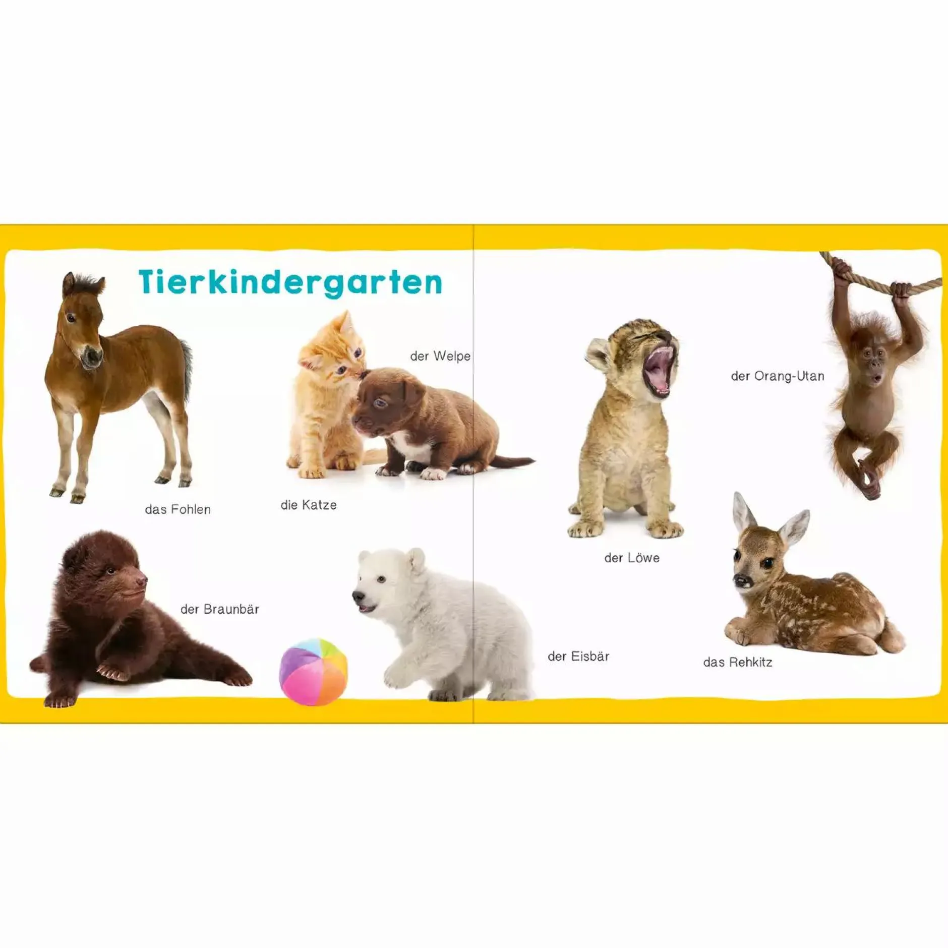 arsEdition Meine ersten 100 Tiere*Kinder Kinderbücher