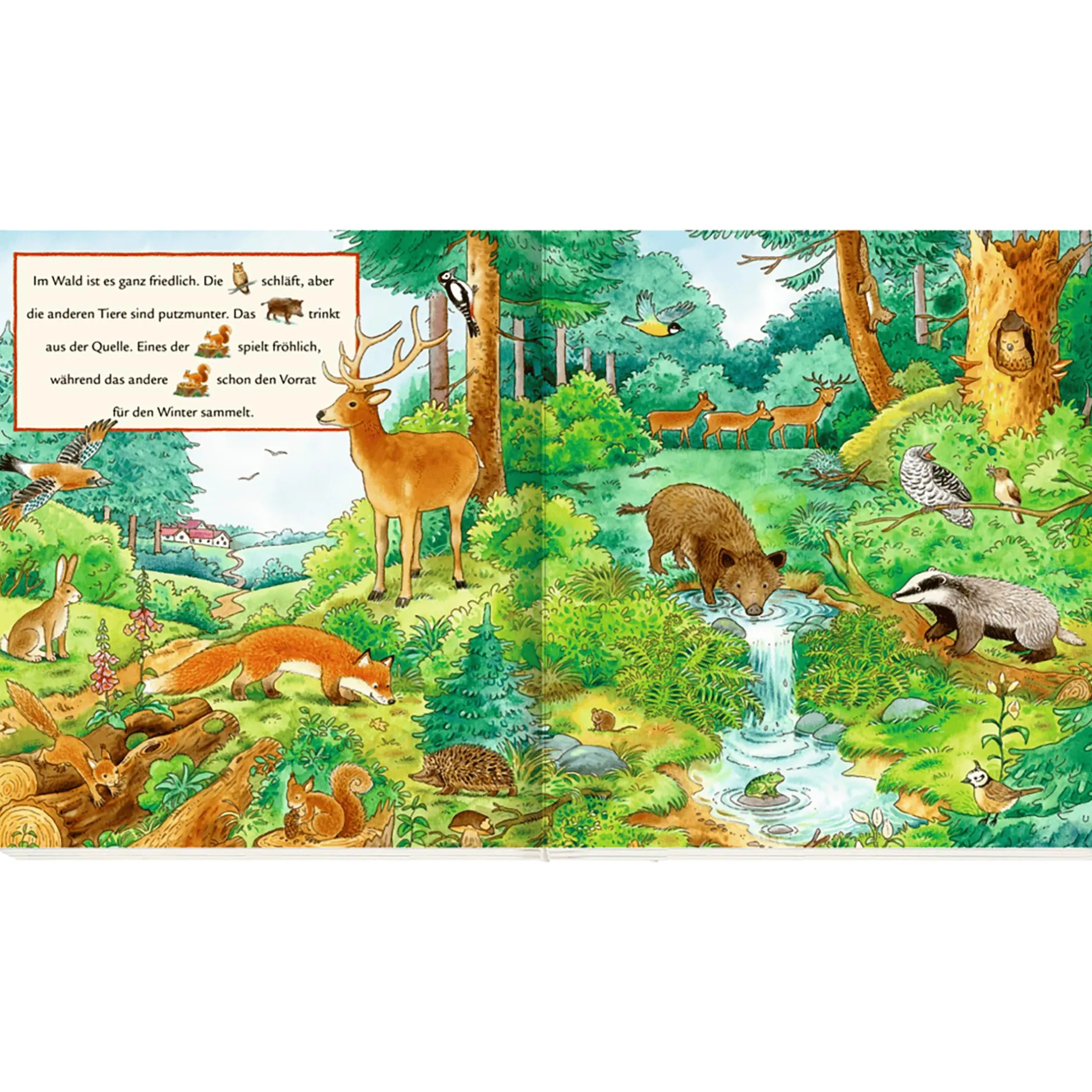 COPPENRATH Meine ersten Wimmelbilder: Bei den Tieren*Kinder Kinderbücher