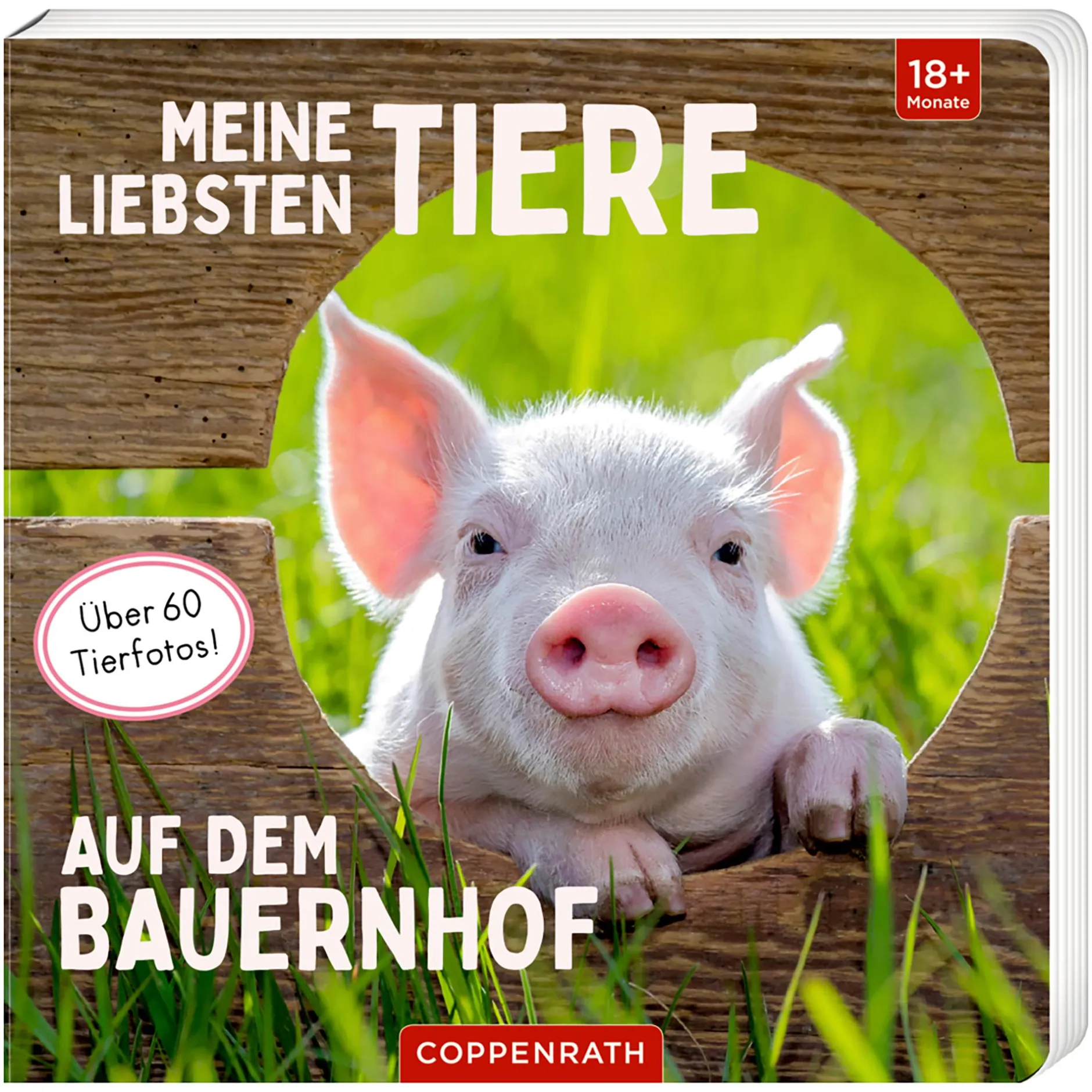 COPPENRATH Meine liebsten Tiere auf dem Bauernhof*Kinder Kinderbücher