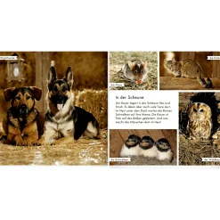 COPPENRATH Meine liebsten Tiere auf dem Bauernhof*Kinder Kinderbücher