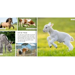 COPPENRATH Meine liebsten Tiere auf dem Bauernhof*Kinder Kinderbücher
