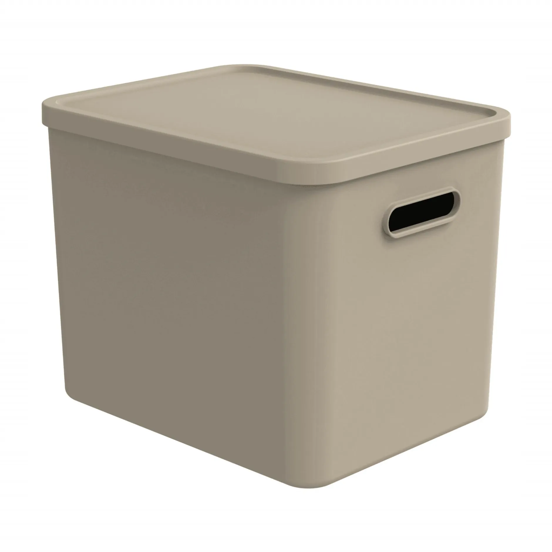 rotho Babydesign Multi Box L Kayo Cappuccino* Deko & Accessoires
