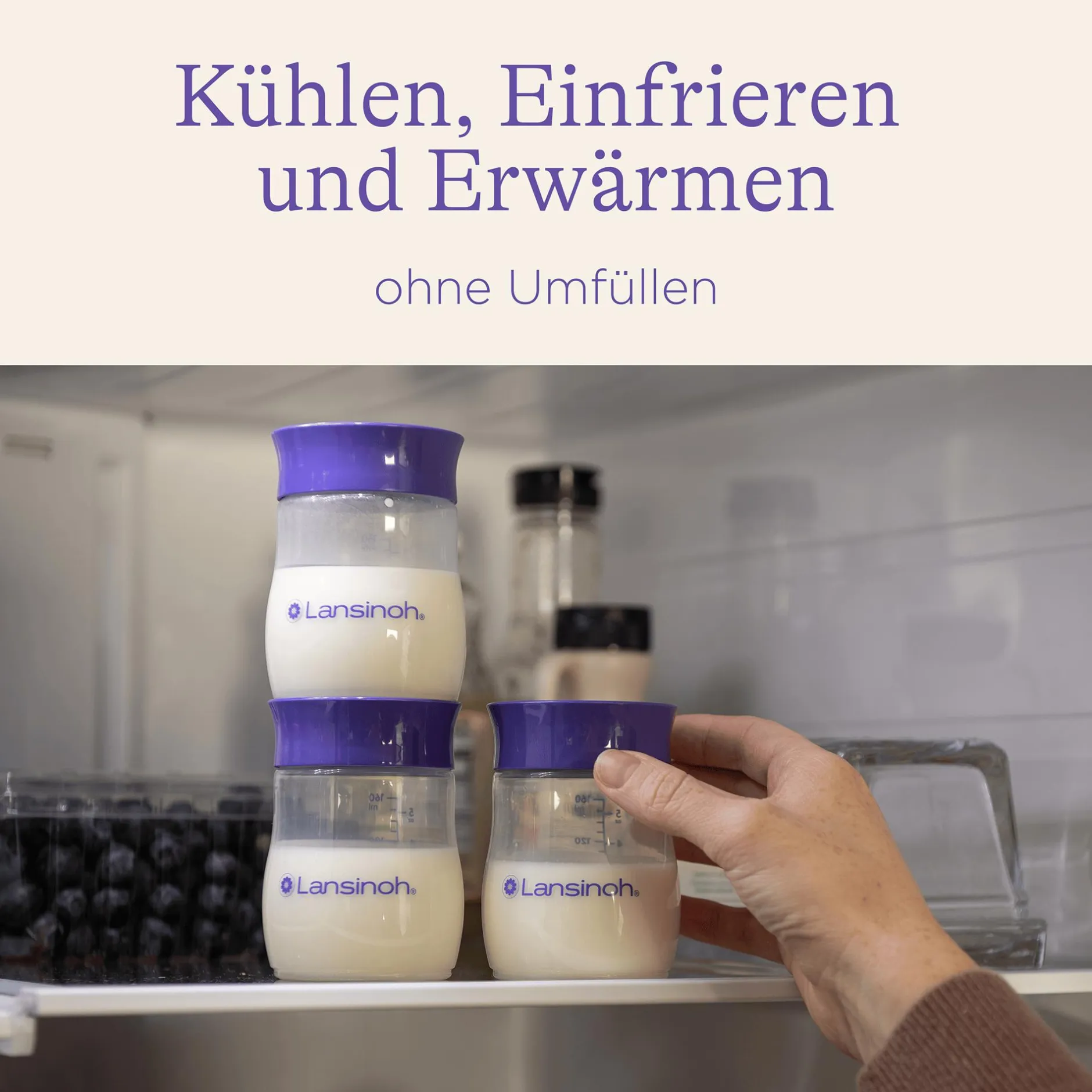 Lansinoh Muttermilchflaschen 4 x 160 ml* Flaschen & Sauger