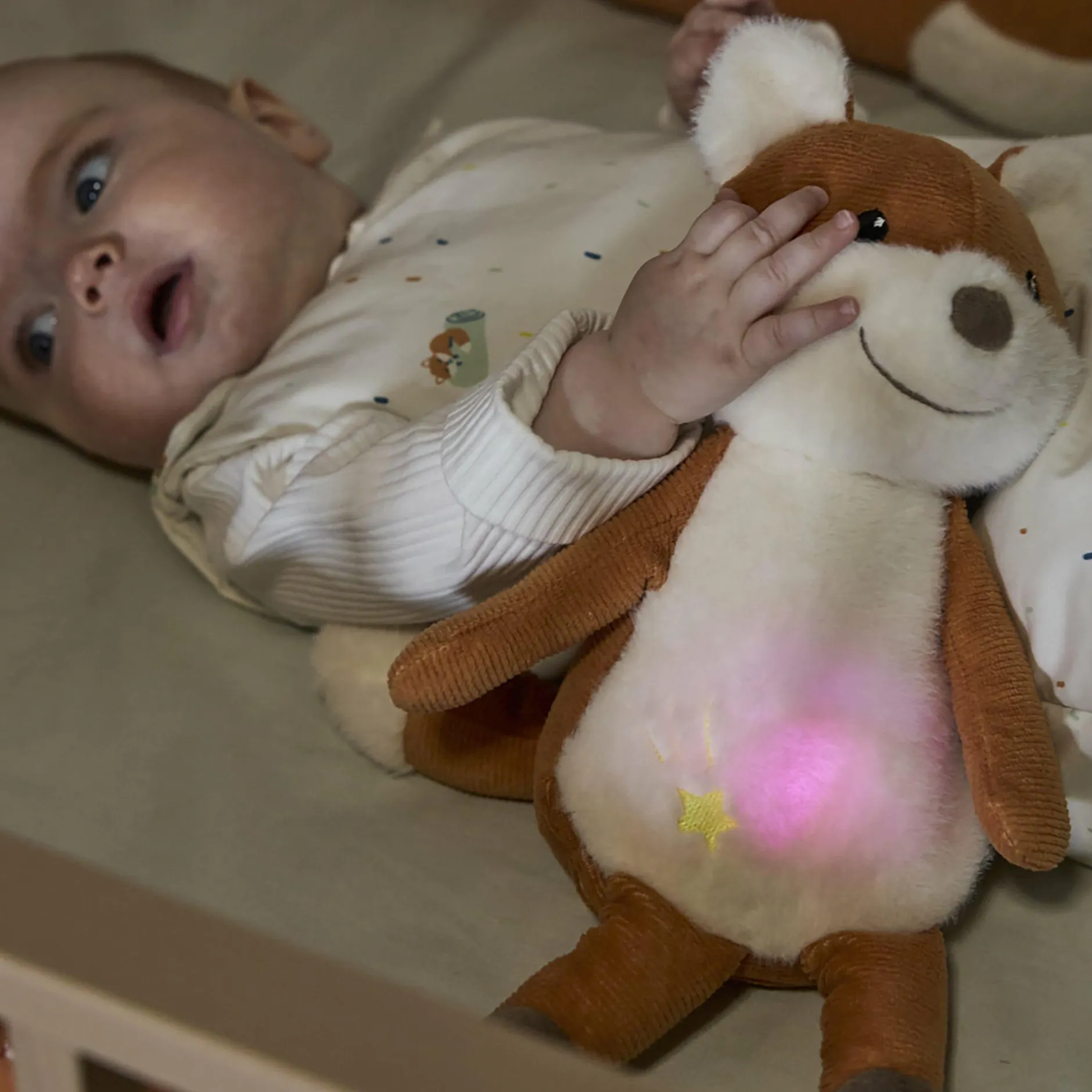 Sterntaler Nachtlicht mit Sound Filou* Nachtlichter|Kuscheltiere
