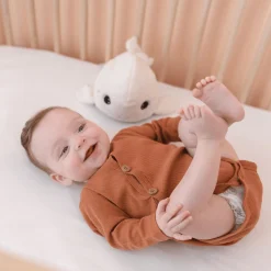 Angelcare Nachtlicht Pabobo Beluga* Nachtlichter|Spieluhren
