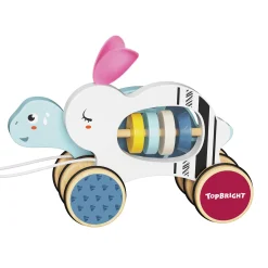 TOPBRIGHT Nachziehtier Hase und Schildkröte*Kinder Holzspielzeug
