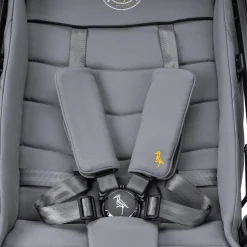 Storchenmu00fchle Niko Asphalt*Kinder Buggys